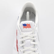 Nike Jordan 1 - USA