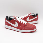 Nike Jordan 1 - Chicago Lobster